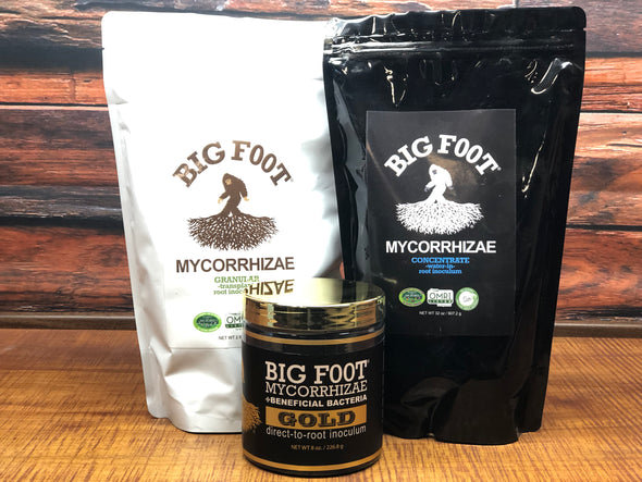 Big Foot Mycorrhizae