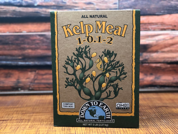 DTE Kelp Meal 5 LB Box